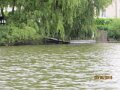 IMG_1512