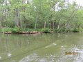 IMG_1517