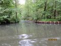 IMG_1519