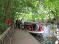 IMG_1521