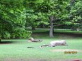 IMG_1525