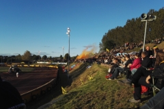 Speedway DM for hold
